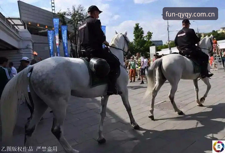 球友会体育体验 本届世界杯安保策略深度分析:英国警员削减背后与球友会体育体验的全面解析